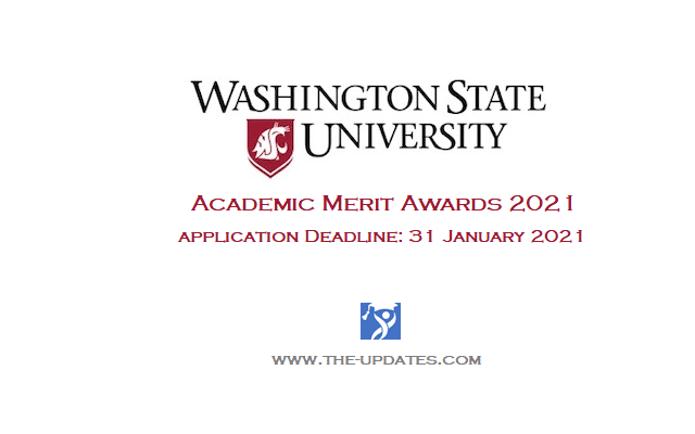 Academic Merit Awards for International Students