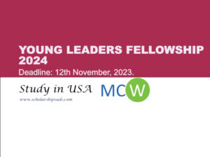 Young Leaders Fellowship