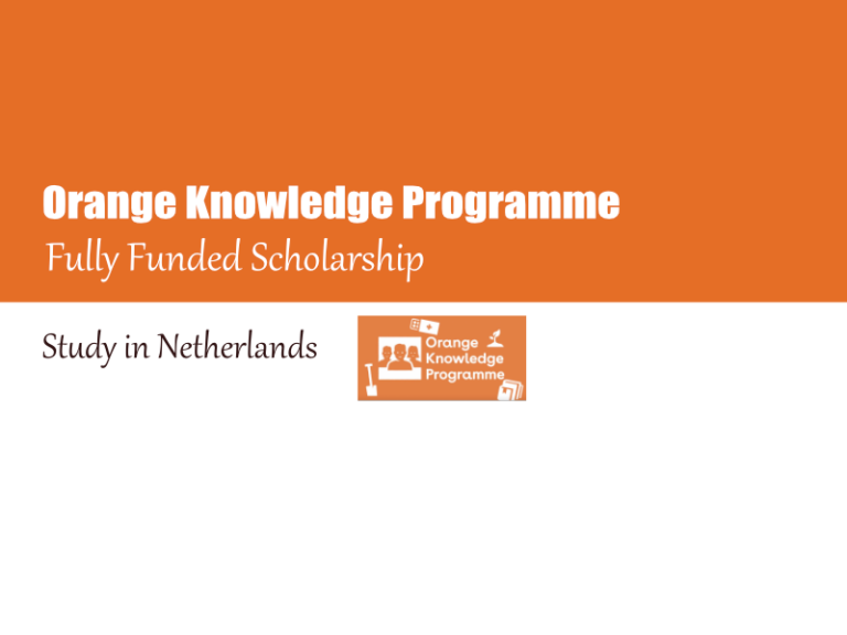 Orange Knowledge Programme 2024 (Application Process)