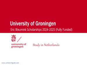 Eric Bleumink Scholarships at University of Groningen 2024