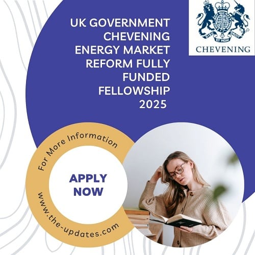 UK Government Chevening Energy Market Reform Fully Funded Fellowship 2025 